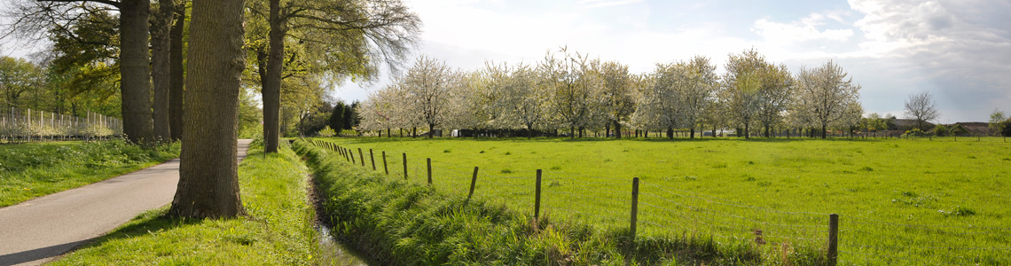 header-panorama_gras_hek